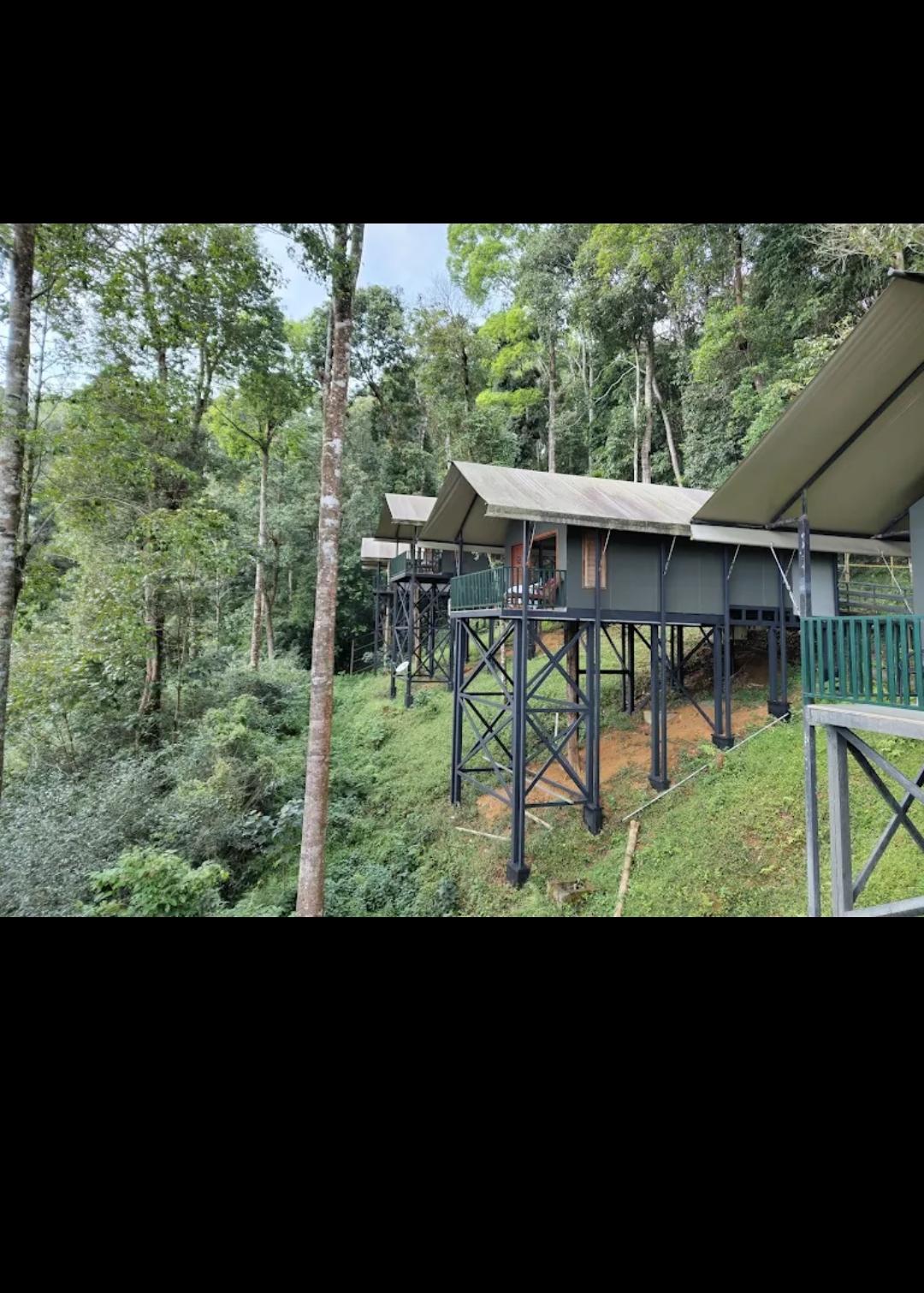 Forest Tented Villas Ooty
